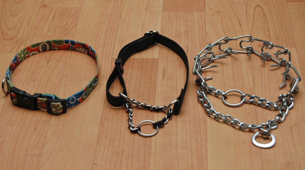 dog collars