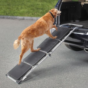 Portable ramp for Doggy Arthritis