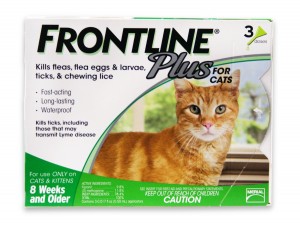 frontline-cats