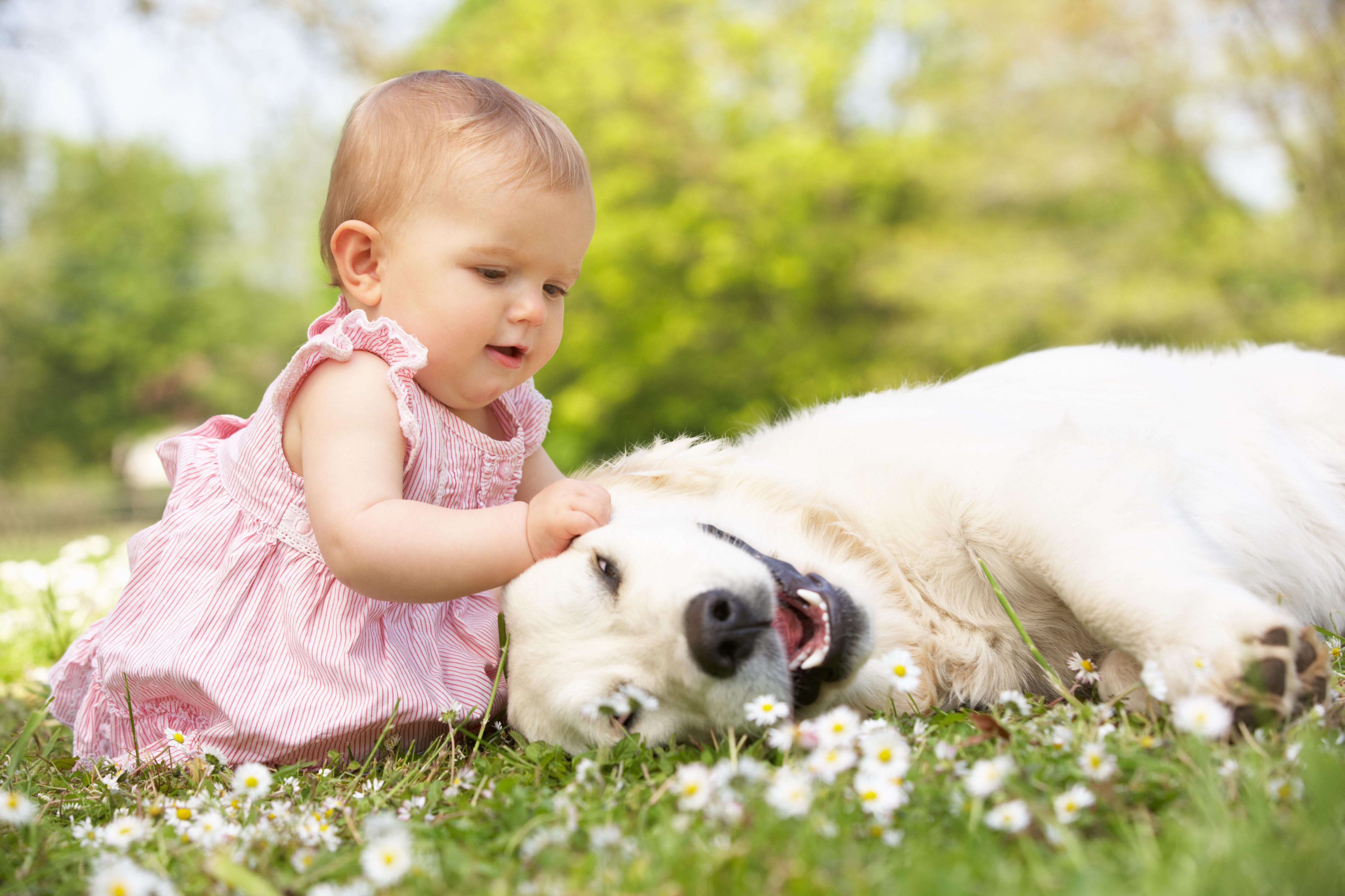 What Are The Benefits Of Kids And Dogs Growing Up Together Pets