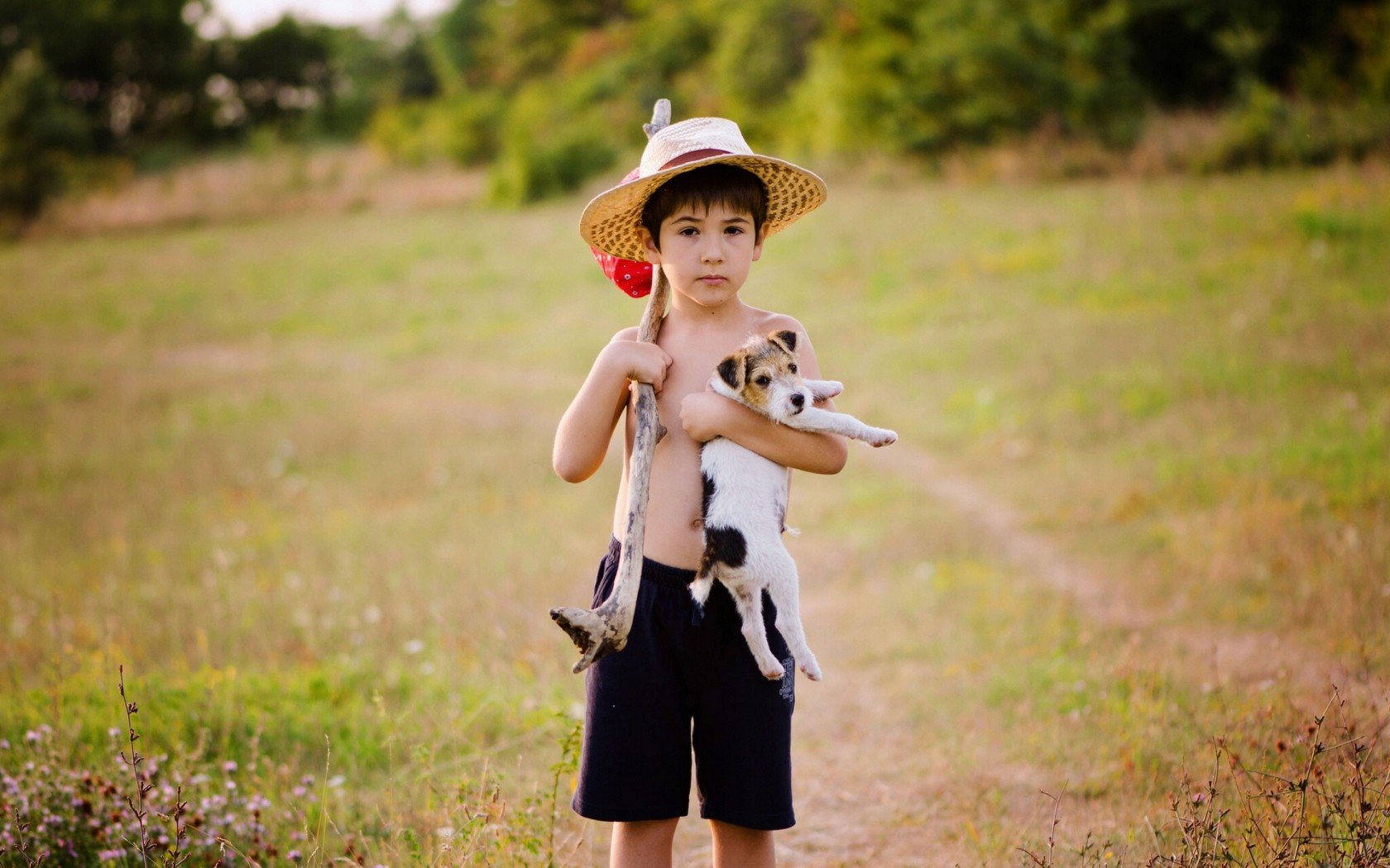 How do you choose the perfect cute little puppy for your children?