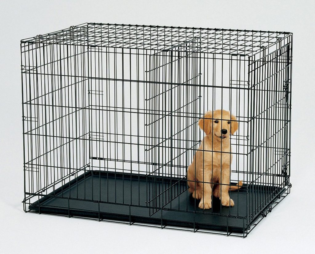 7 Things You Need To Know Before Buying a Dog Crate Pets Grooming Prices